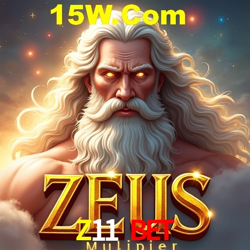 Responsive Design Z11 Bet